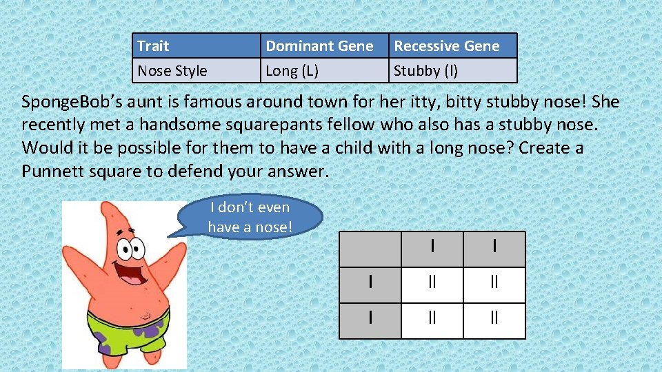 Trait Nose Style Dominant Gene Long (L) Recessive Gene Stubby (l) Sponge. Bob’s aunt