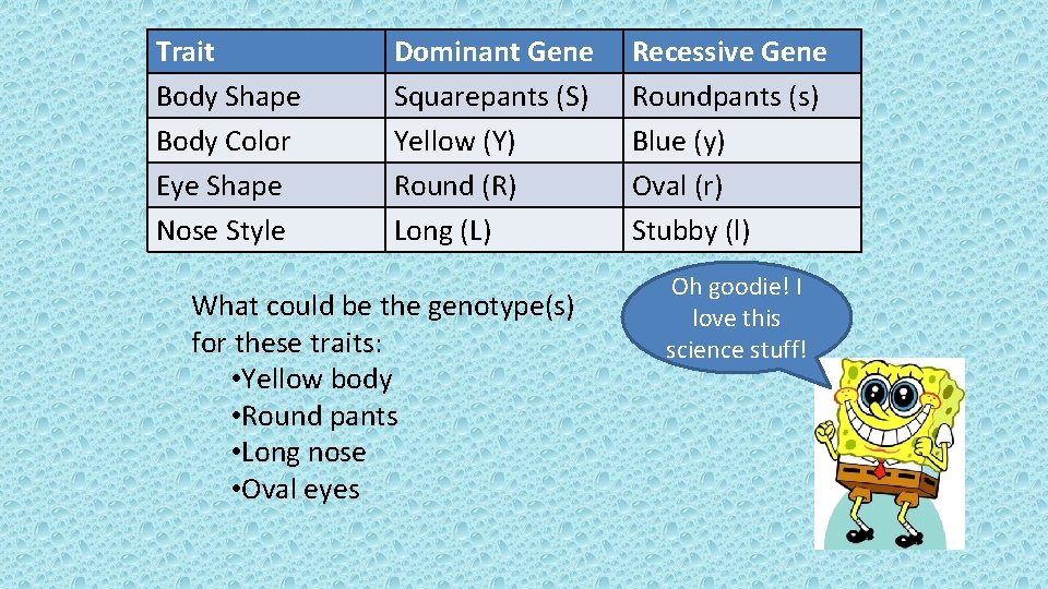 Trait Body Shape Body Color Eye Shape Nose Style Dominant Gene Squarepants (S) Yellow