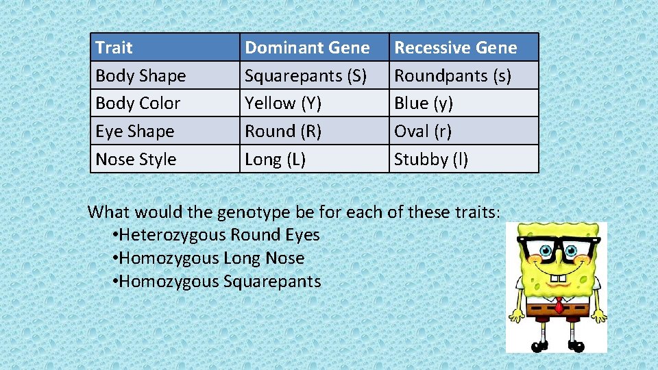 Trait Body Shape Body Color Eye Shape Nose Style Dominant Gene Squarepants (S) Yellow