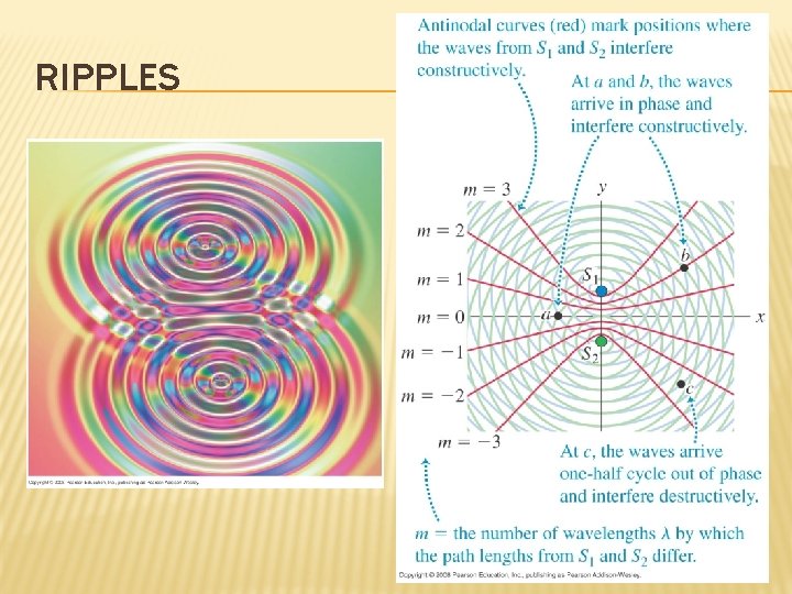 RIPPLES 