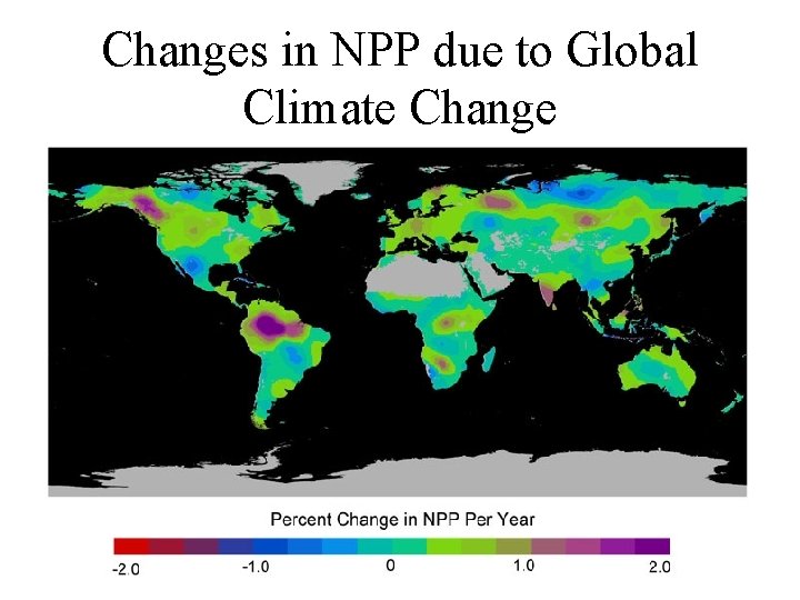 Changes in NPP due to Global Climate Change 