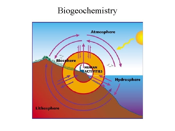Biogeochemistry 