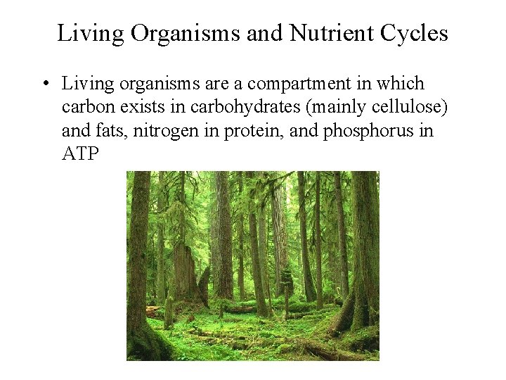 Living Organisms and Nutrient Cycles • Living organisms are a compartment in which carbon