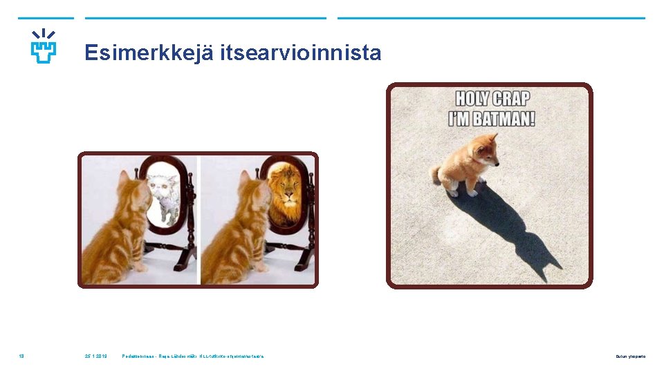 Esimerkkejä itsearvioinnista 18 25. 1. 2019 Pedawebinaari - Raija Lähdesmäki, HLL-tutkinto-ohjelmavastaava Oulun yliopisto 