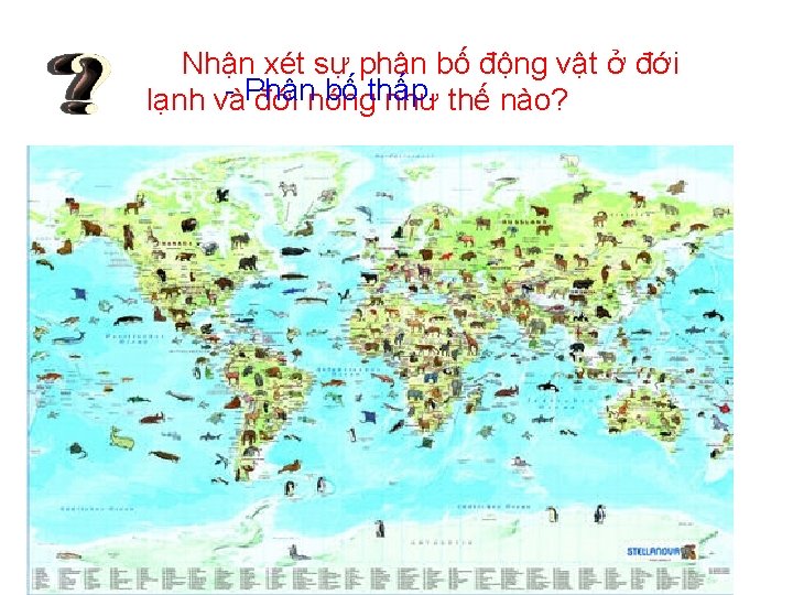 Nhận xét sự phân bố động vật ở đới - Phân bố thấp. lạnh