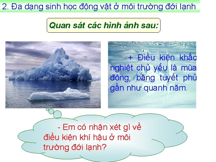2. Đa dạng sinh học động vật ở môi trường đới lạnh Quan sát
