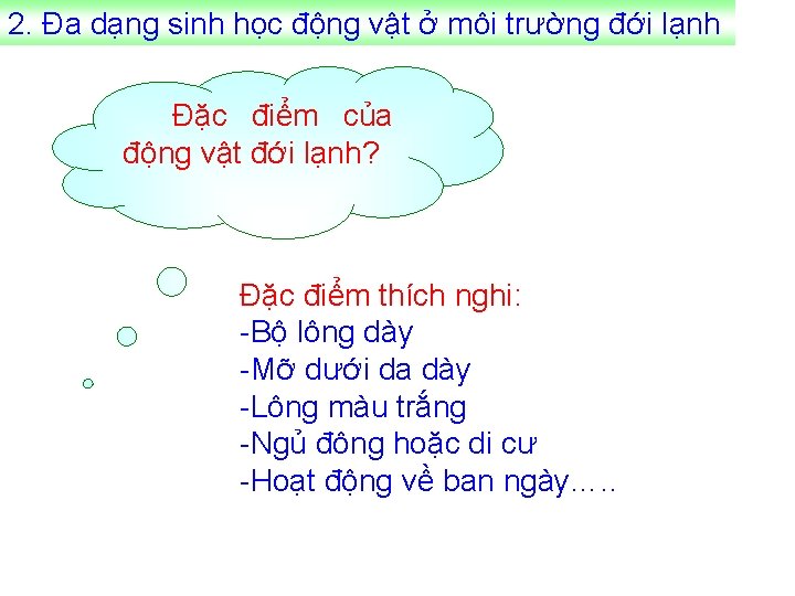 2. Đa dạng sinh học động vật ở môi trường đới lạnh Đặc điểm