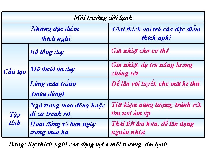 Môi trường đới lạnh Những đặc điểm thích nghi Giải thích vai trò của