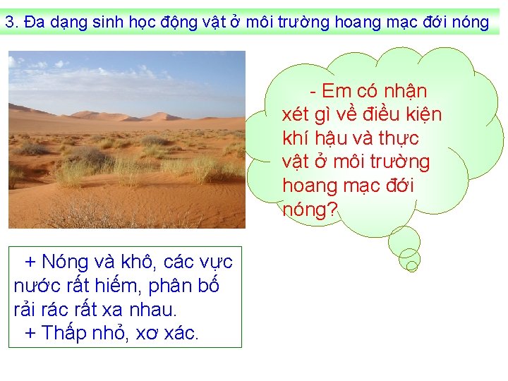 3. Đa dạng sinh học động vật ở môi trường hoang mạc đới nóng