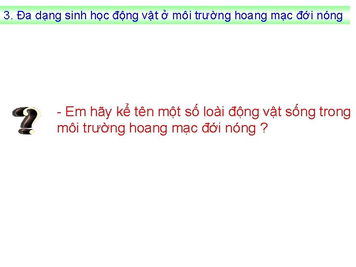 3. Đa dạng sinh học động vật ở môi trường hoang mạc đới nóng
