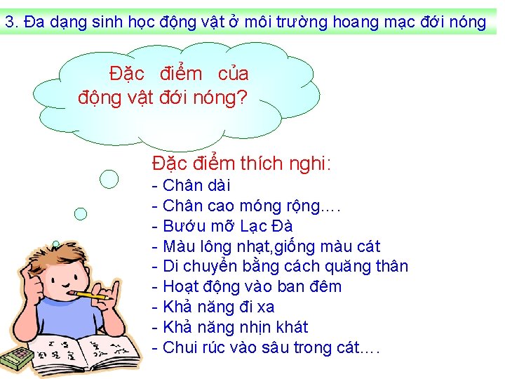 3. Đa dạng sinh học động vật ở môi trường hoang mạc đới nóng