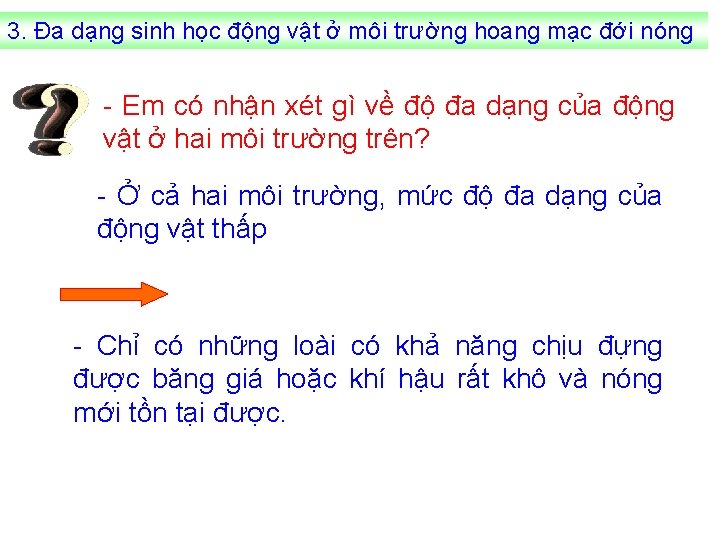 3. Đa dạng sinh học động vật ở môi trường hoang mạc đới nóng