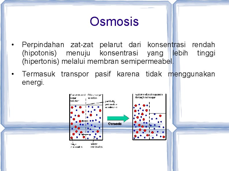 Osmosis • Perpindahan zat-zat pelarut dari konsentrasi rendah (hipotonis) menuju konsentrasi yang lebih tinggi