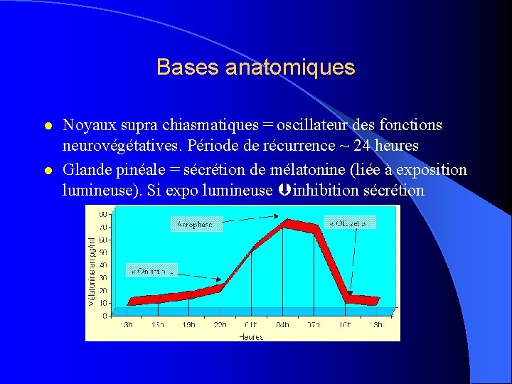 Bases anatomiques l l Noyaux supra chiasmatiques = oscillateur des fonctions neurovégétatives. Période de