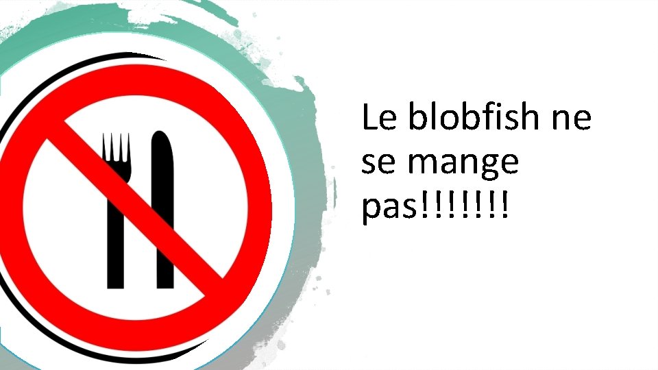 Le blobfish ne se mange pas!!!!!!! 