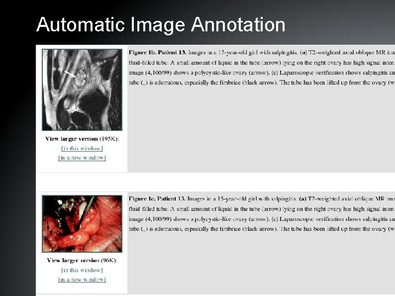 Automatic Image Annotation 