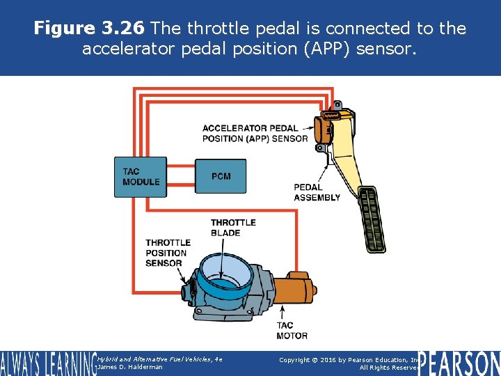 Figure 3. 26 The throttle pedal is connected to the accelerator pedal position (APP)