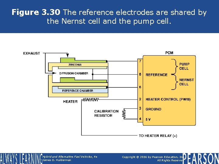 Figure 3. 30 The reference electrodes are shared by the Nernst cell and the