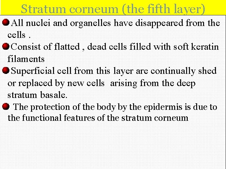 Stratum corneum (the fifth layer) All nuclei and organelles have disappeared from the cells.