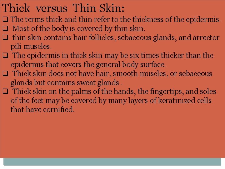 Thick versus Thin Skin: q The terms thick and thin refer to the thickness