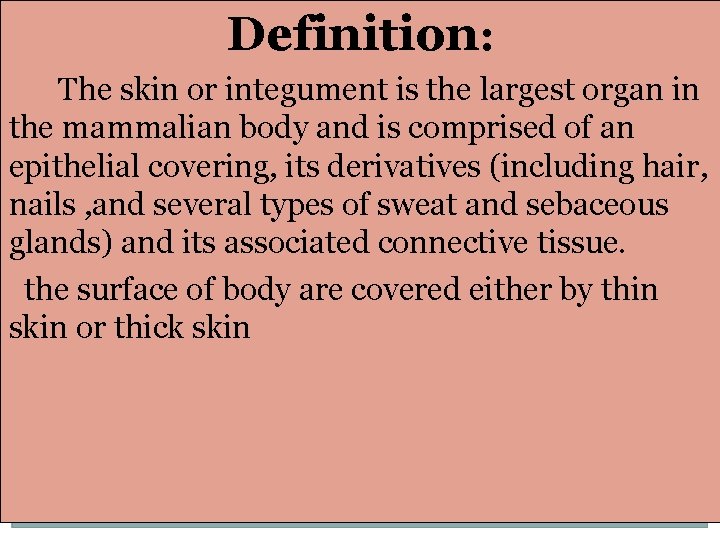 Definition: The skin or integument is the largest organ in the mammalian body and