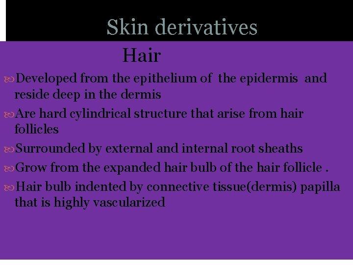 Skin derivatives Hair Developed from the epithelium of the epidermis and reside deep in