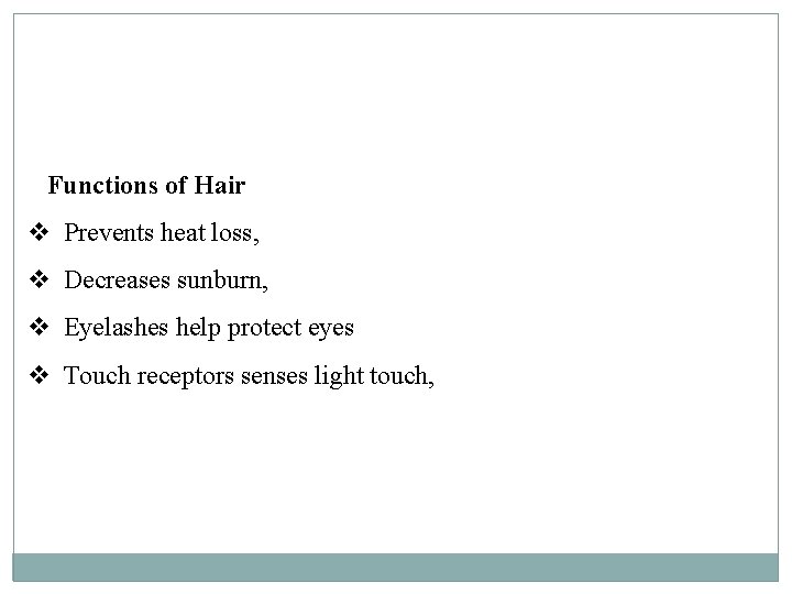 Functions of Hair Prevents heat loss, Decreases sunburn, Eyelashes help protect eyes Touch receptors