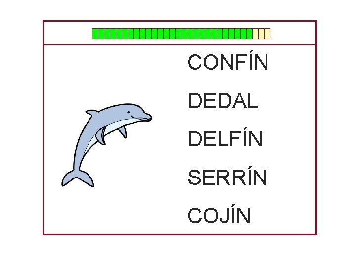 CONFÍN DEDAL DELFÍN SERRÍN COJÍN 