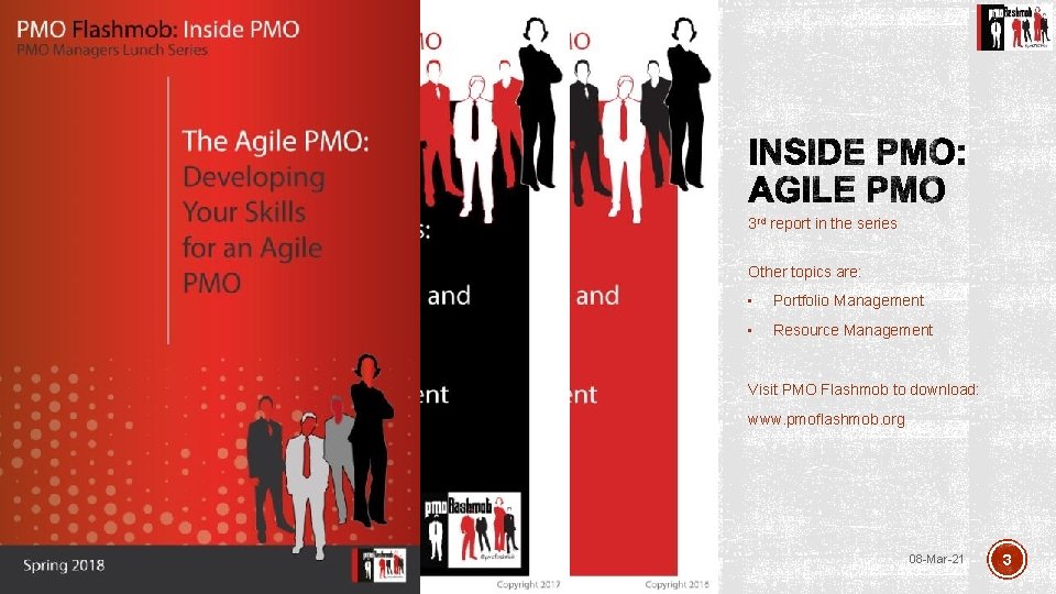 3 rd report in the series Other topics are: • Portfolio Management • Resource