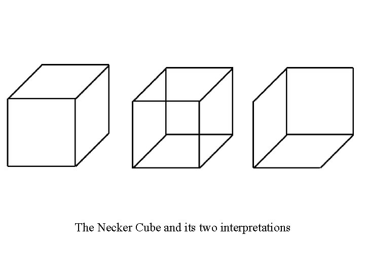 The Necker Cube and its two interpretations 