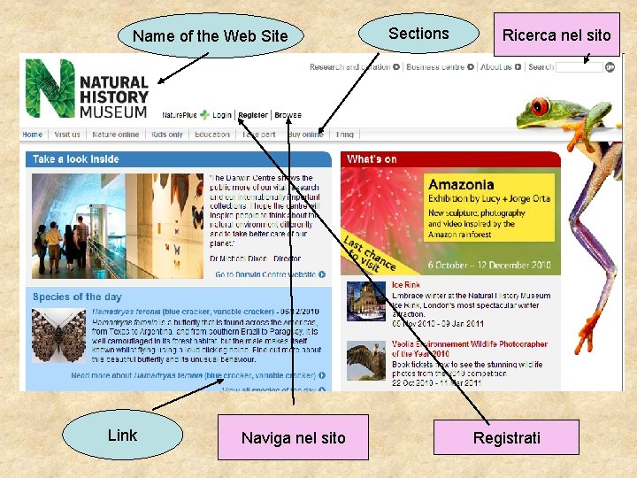 Name of the Web Site Link Naviga nel sito Sections Ricerca nel sito Registrati