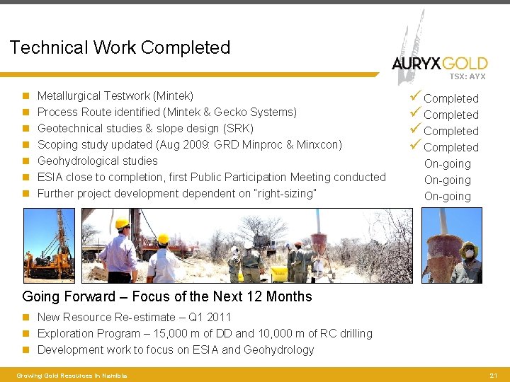 Technical Work Completed TSX: AYX Metallurgical Testwork (Mintek) Process Route identified (Mintek & Gecko
