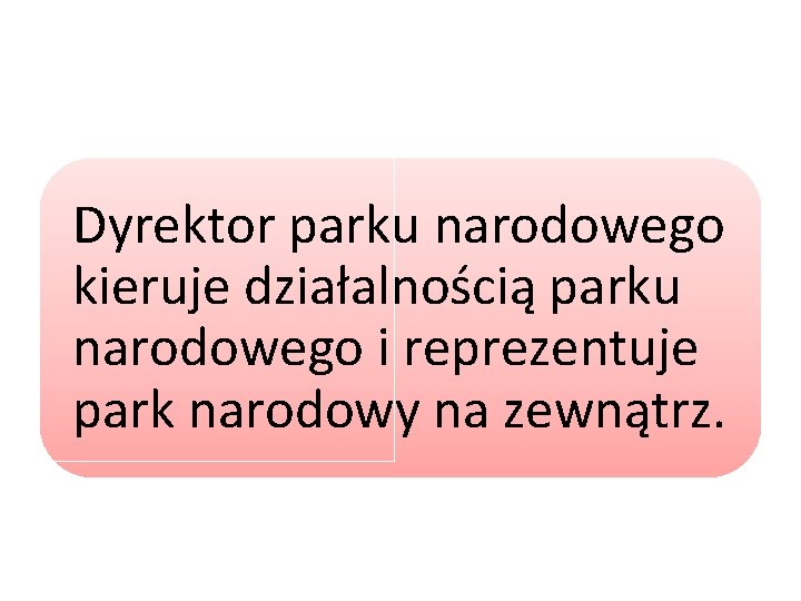 Dyrektor parku narodowego kieruje działalnością parku narodowego i reprezentuje park narodowy na zewnątrz. 