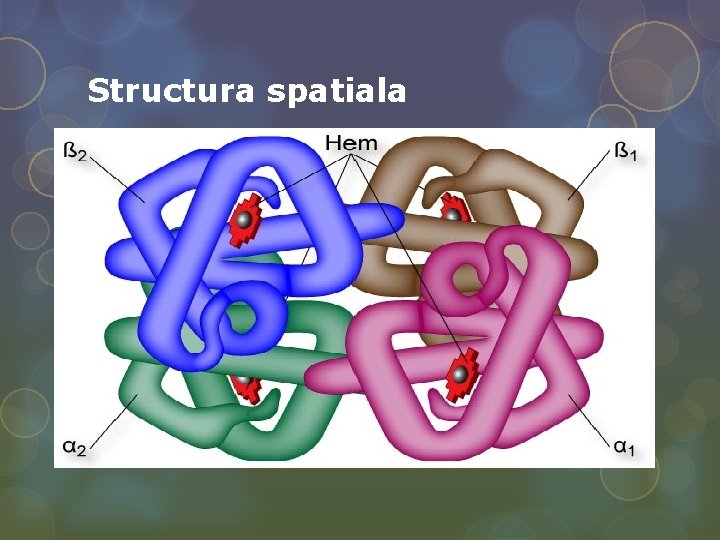 Structura spatiala 