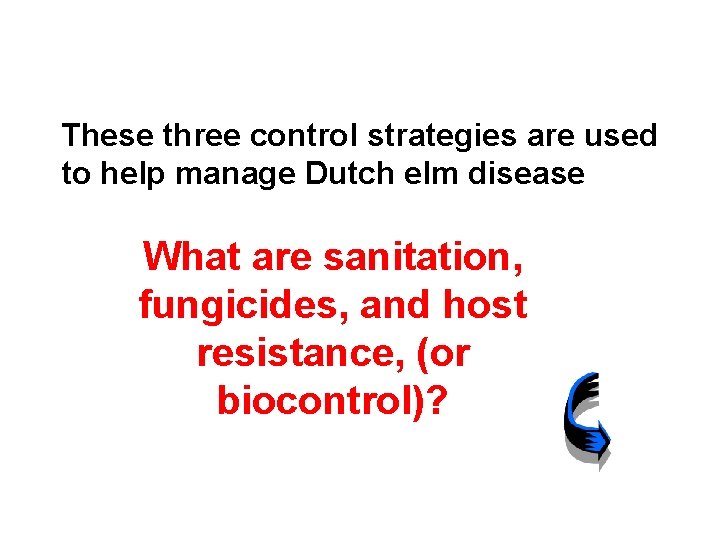 These three control strategies are used to help manage Dutch elm disease What are