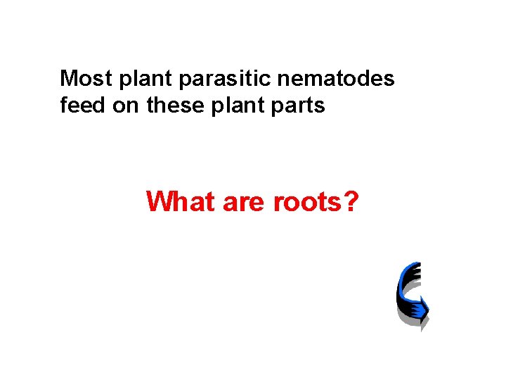 Most plant parasitic nematodes feed on these plant parts What are roots? 