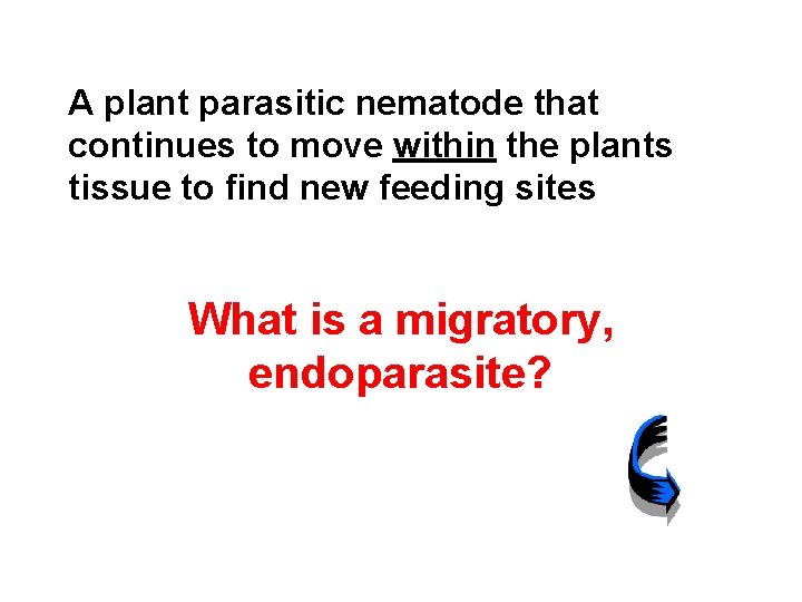 A plant parasitic nematode that continues to move within the plants tissue to find