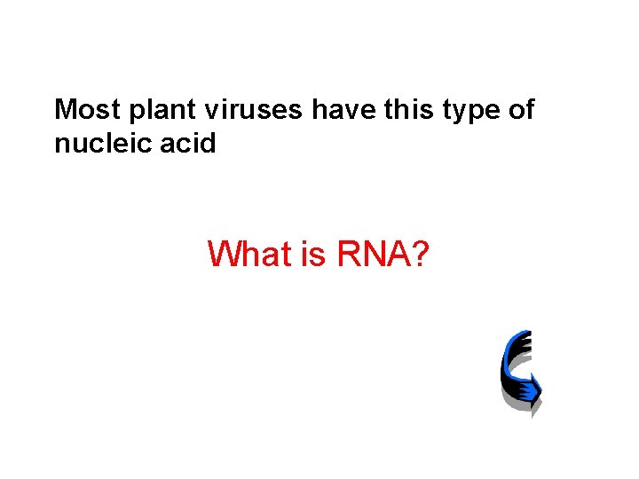 Most plant viruses have this type of nucleic acid What is RNA? 