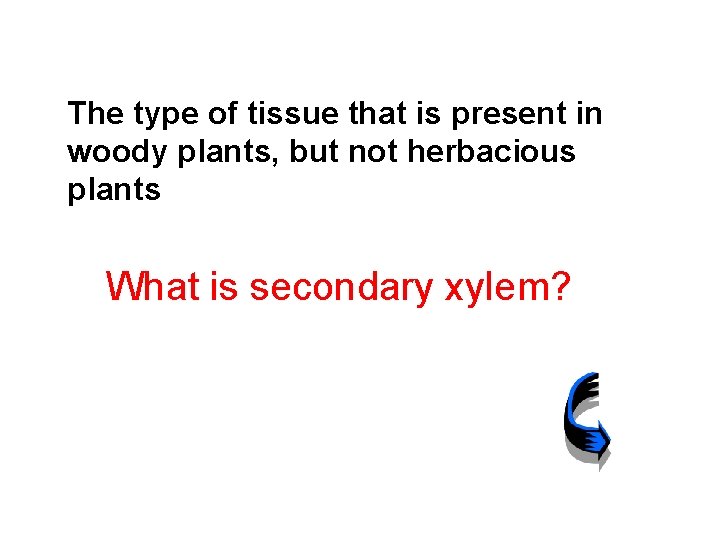 The type of tissue that is present in woody plants, but not herbacious plants