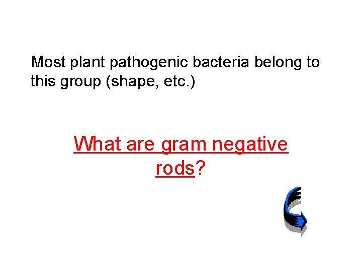 Most plant pathogenic bacteria belong to this group (shape, etc. ) What are gram