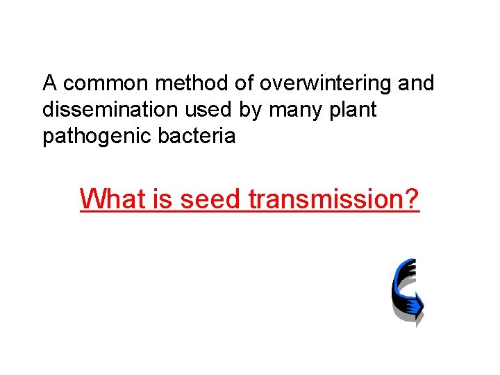 A common method of overwintering and dissemination used by many plant pathogenic bacteria What