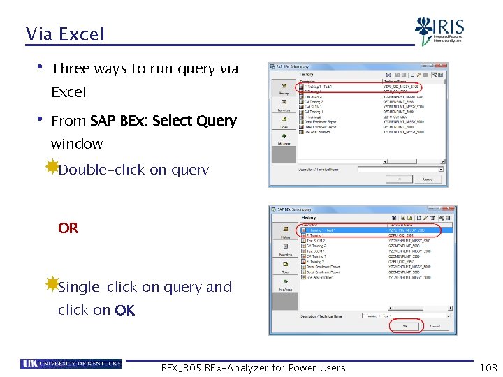 Via Excel • Three ways to run query via Excel • From SAP BEx: