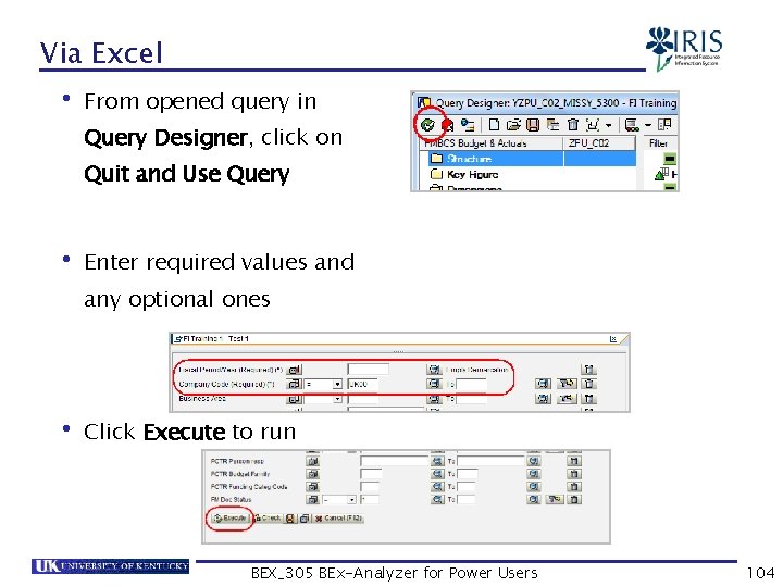 Via Excel • From opened query in Query Designer, click on Quit and Use