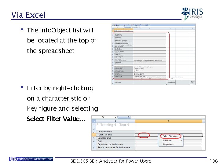 Via Excel • The Info. Object list will be located at the top of
