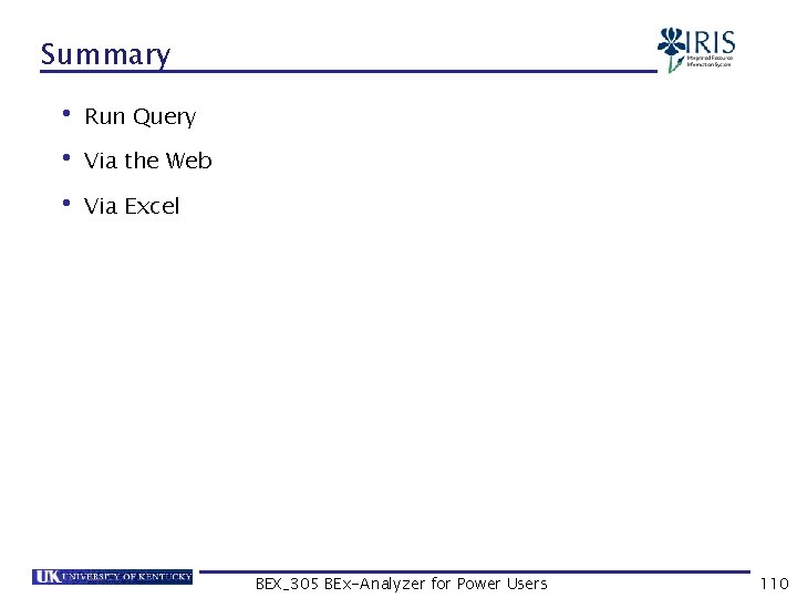 Summary • Run Query • Via the Web • Via Excel BEX_305 BEx-Analyzer for