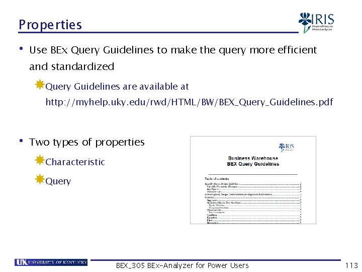 Properties • Use BEx Query Guidelines to make the query more efficient and standardized