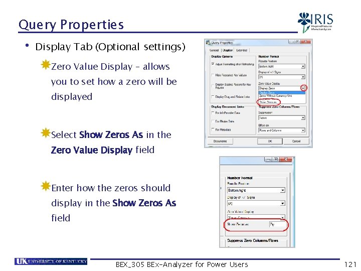 Query Properties • Display Tab (Optional settings) Zero Value Display – allows you to