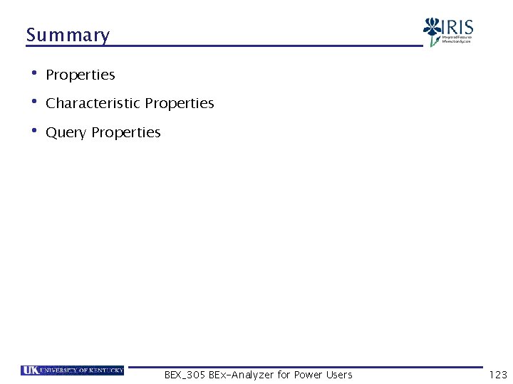 Summary • Properties • Characteristic Properties • Query Properties BEX_305 BEx-Analyzer for Power Users
