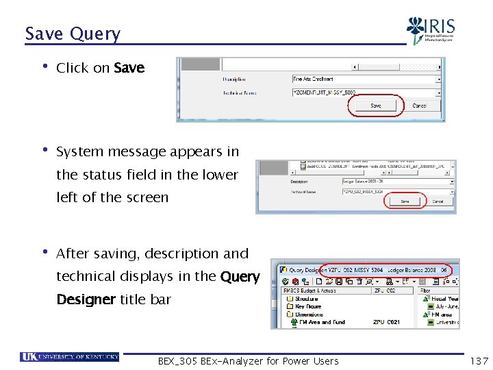 Save Query • Click on Save • System message appears in the status field