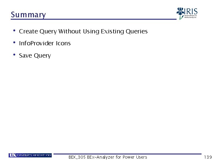 Summary • Create Query Without Using Existing Queries • Info. Provider Icons • Save